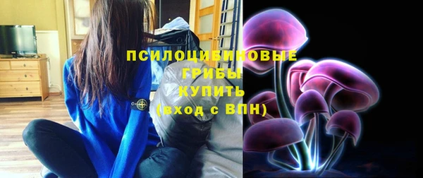 прущий лед Алексин