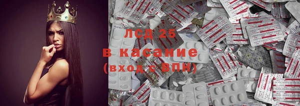 гидра Аркадак