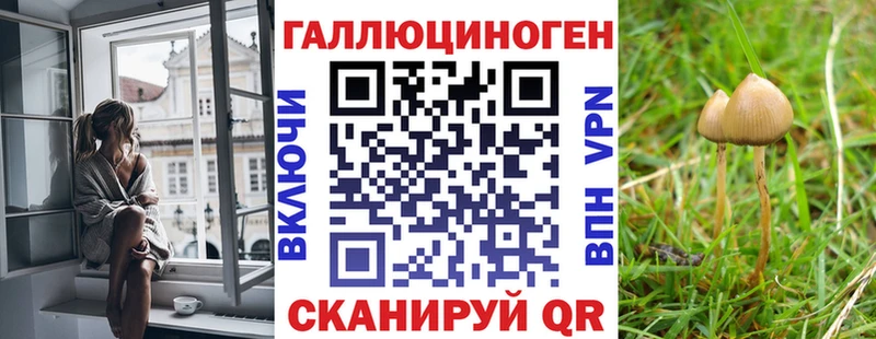 цена   Чёрмоз  Псилоцибиновые грибы мицелий 