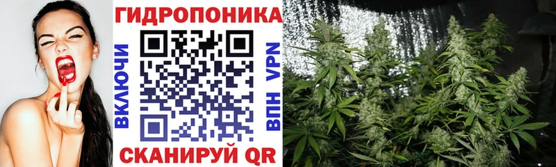 закладки  Чёрмоз  Бошки Шишки индика 